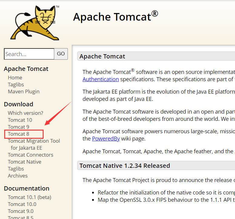 idea tomcat安装及配置教程_配置实用工具