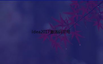 idea2017激活码可用