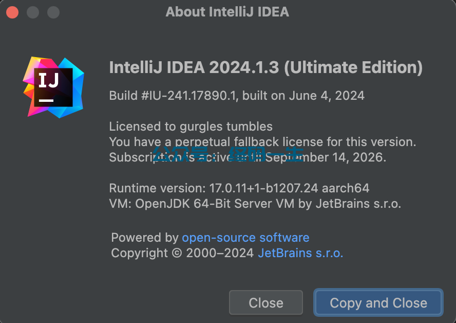 JetBrains激活码(IntelliJ IDEA 2024.1.3 最新激活码 激活成功教程教程 永久激活工具（全家桶 一键激活）)