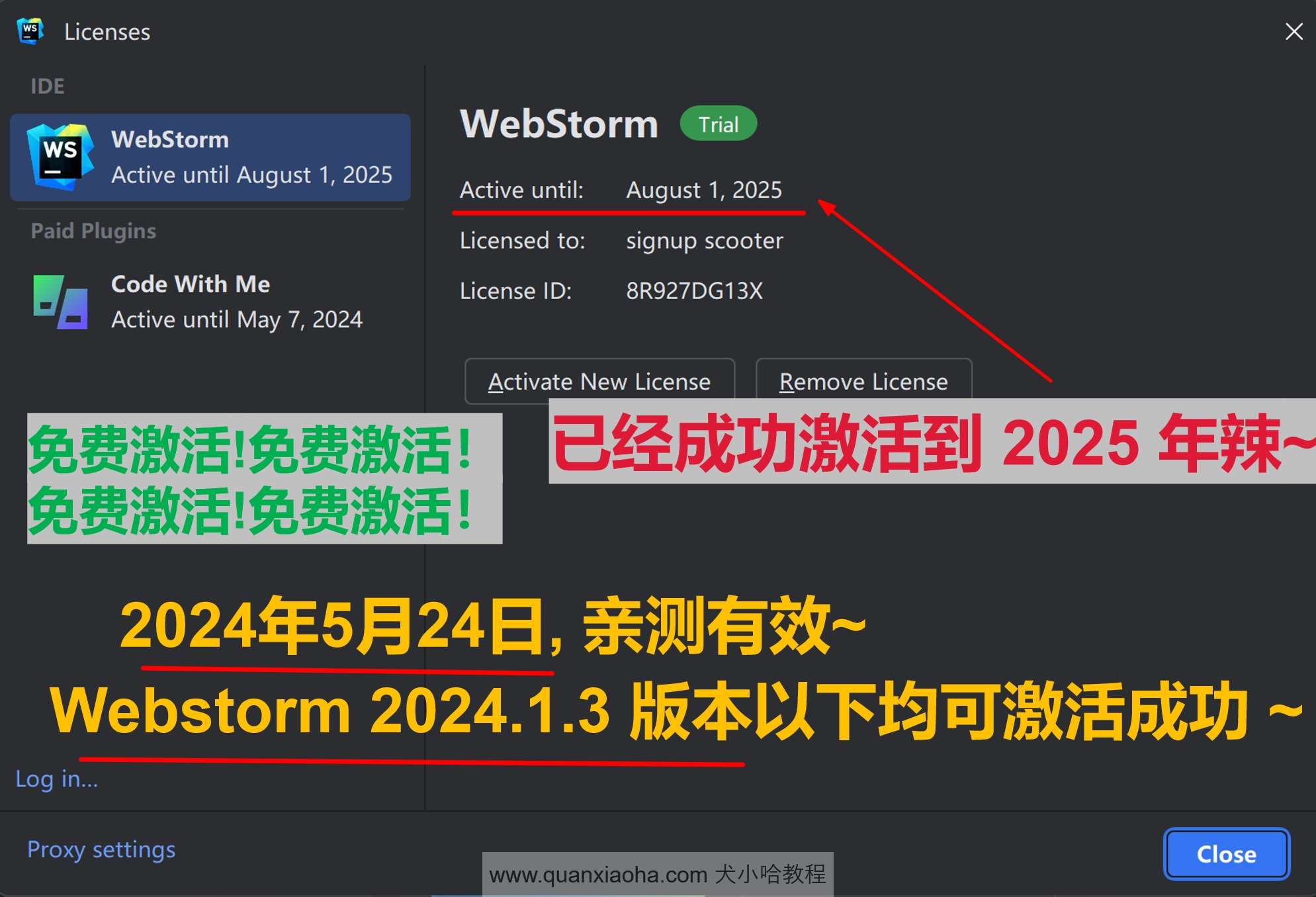 Webstorm 2024.1.3 成功激活至2099年截图