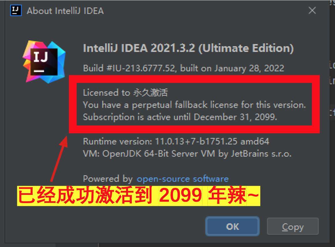 IDEA 2021.3.2 成功激活至9999年截图2