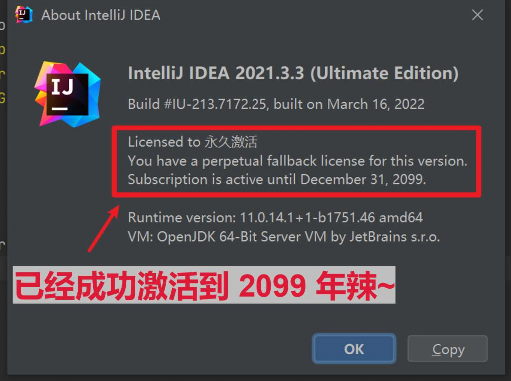 JetBrains激活码(最新IntelliJ IDEA 补丁 最新激活 激活成功教程教程（2022年最新IDEA激活码）)