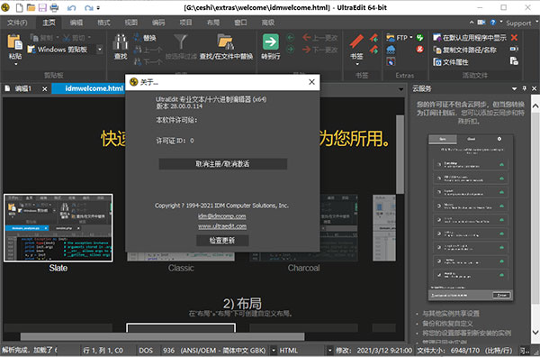 UltraEdit28特别版