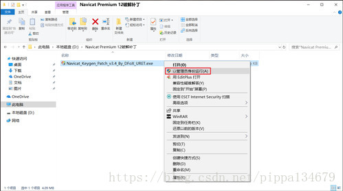 怎么安装并激活Navicat Premium 12.0.29