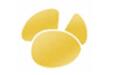 Navicat Premium 11.0.19激活(Navicat Premium)