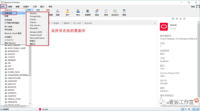 Navicat Premium 12.0.21激活(激活成功教程Navicat Premium 12.0.22)