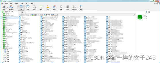 Navicat for Premium 9.0.2激活(镇海区建设用地批后监管系统部署操作手册)