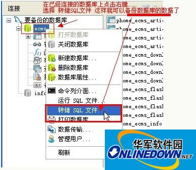 navicat premium 64位截图