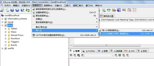 SQLyog常见问题4