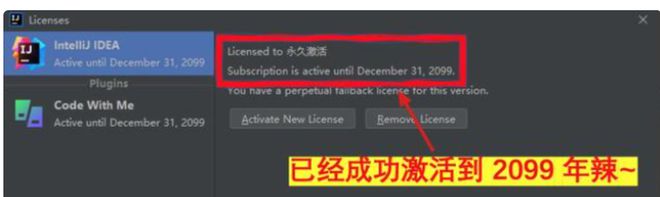 Navicat Premium 12.0.21激活(IDEA永久激活激活成功教程教程，亲测有效（2022年最新IDEA激活码）)