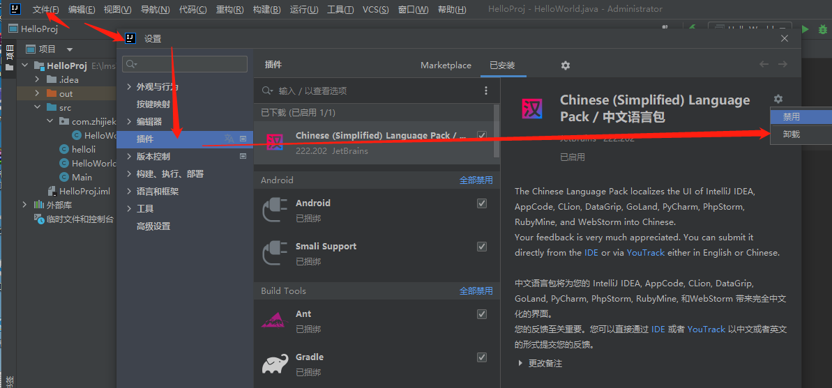idea无法安装中文插件