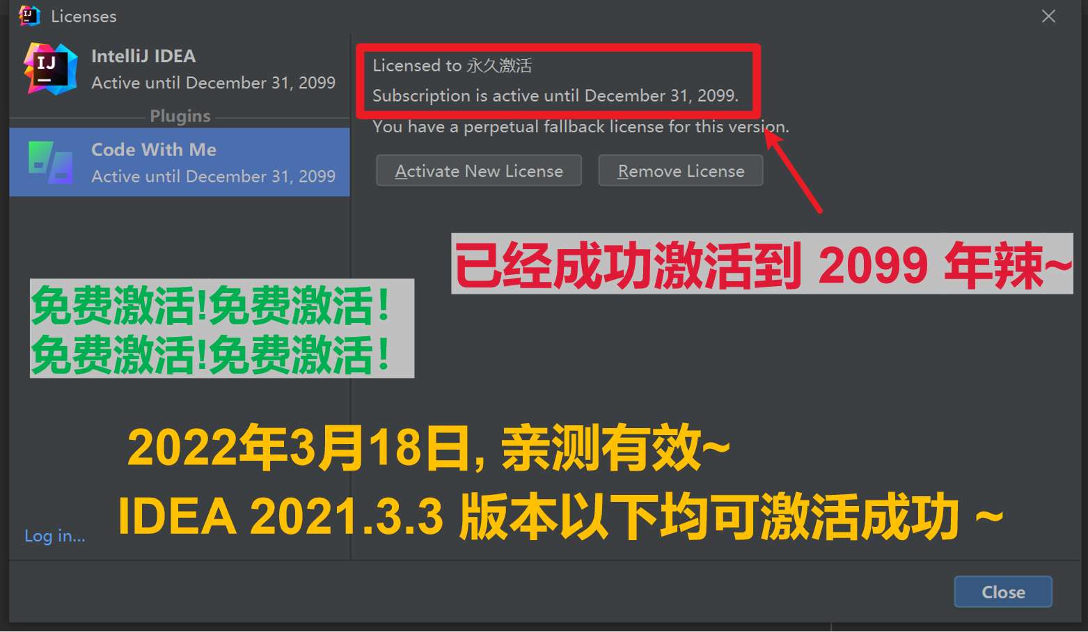 IDEA 2021.3.3 成功激活至2099年截图