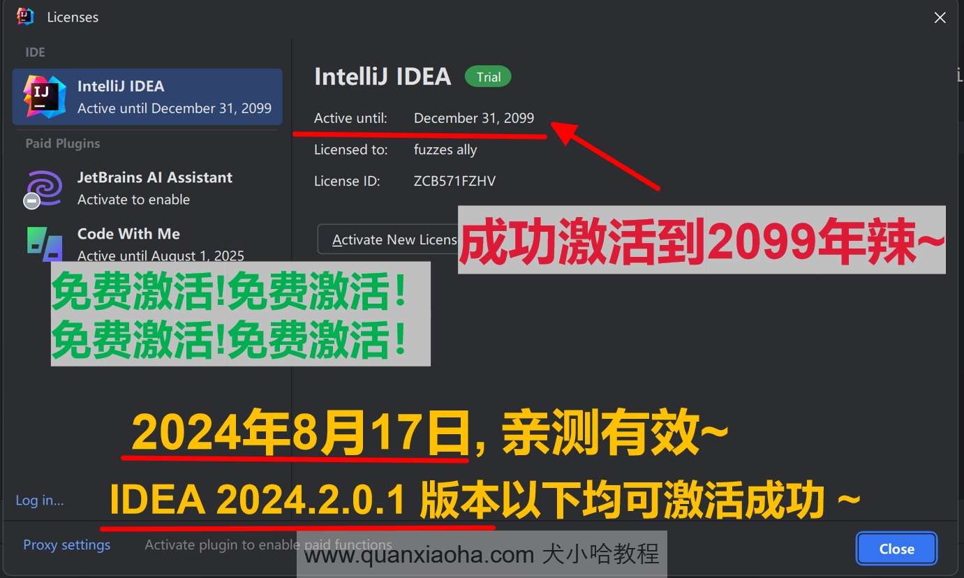 IDEA 2024.2.0.1 版本激活到 2099 年截图