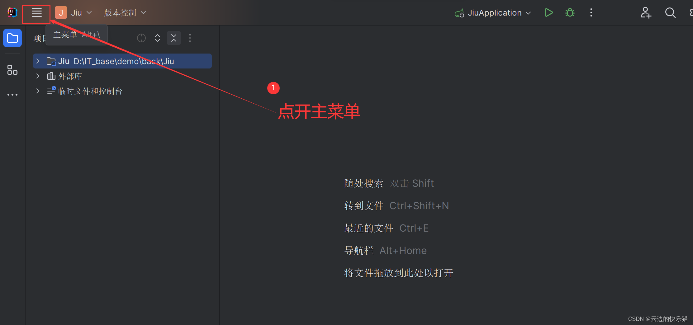 idea运行java程序