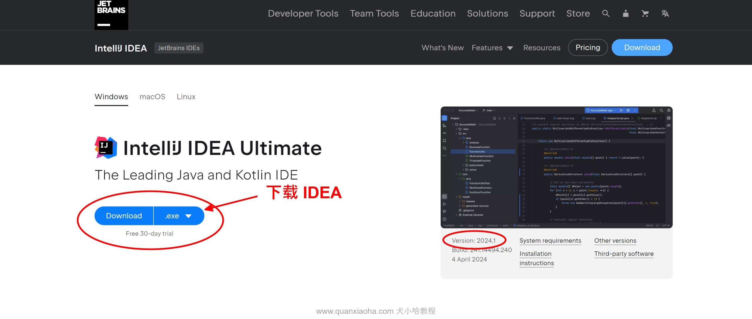 下载 IDEA 2024.1 安装包