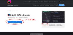 下载 IDEA 2024.1.2 安装包