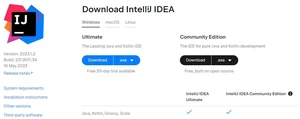 IntelliJ IDEA激活成功教程
