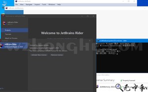 ReSharper2024 - 无中和wzhonghe.com -2