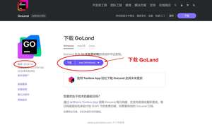 下载 GoLand 2024.1.2 安装包