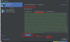 填入 Webstorm 2024.1.2 激活码
