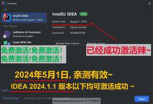 IDEA 2024.1.1 成功破解激活截图